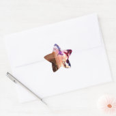 Abstracte Fantasy Peter Pan Celebration Ster Sticker (Envelop)