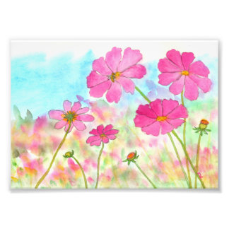 Abstracte Floral Art Pink Cosmos Wilde Flowers Foto Afdruk