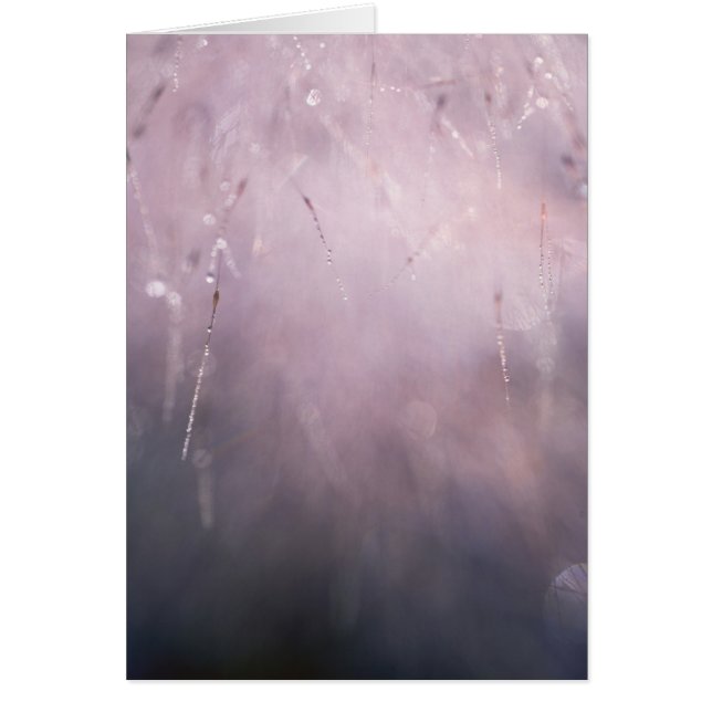 Abstracte grasmuis Daling Blauw Bruin Achtergrond (Voorkant)