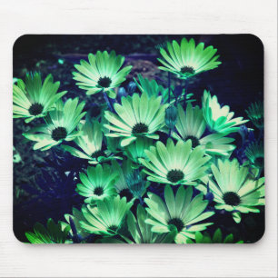 Abstracte Green Daisies Flower Art Muismat