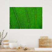 Abstracte groene bladtextuur poster (Keuken)