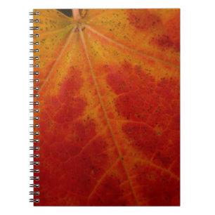 Abstracte herfst-natuurfotografie van rode esdoorn notitieboek