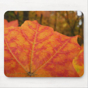 Abstracte herfst Sinaasappel- en Rode Maple Natuur Muismat