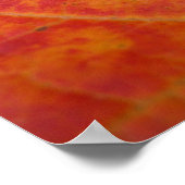Abstracte herfst Sinaasappel- en Rode Maple Natuur Poster (Hoek)