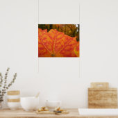 Abstracte herfst Sinaasappel- en Rode Maple Natuur Poster (Keuken)