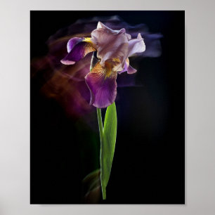 Abstracte Iris Bloem – Elegante Bloemkunst Poster