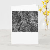 Abstracte Kleurstudie 53 / Noir, Kaart (Gele Bloem)