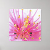 Abstracte kunst met roze peach Pollen Macro Canvas Afdruk (Voorkant)