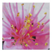 Abstracte kunst met roze peach Pollen Macro Perfect Poster (Voorkant)