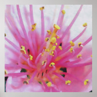 Abstracte kunst met roze peach Pollen Macro