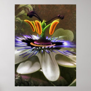 Abstracte kunst van een passievloer poster