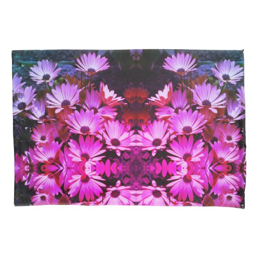 Abstracte kunst van roze Afrikaanse Daisy Flowers Kussensloop (Voorkant)