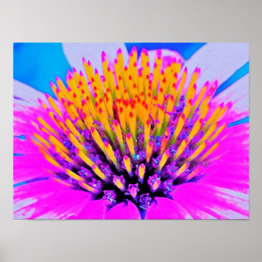Abstracte Macro Hot Pink en Gele Coneflower Poster (Voorkant)