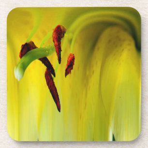 Abstracte Macro Lily Stamen Floral Cork Onderzette Onderzetter
