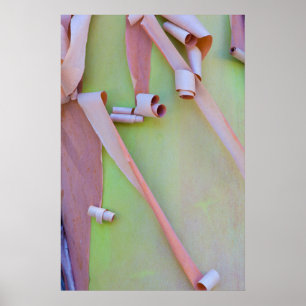 Abstracte madroneboomstam poster