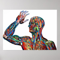 abstracte menselijke anatomie man aderen arterie k