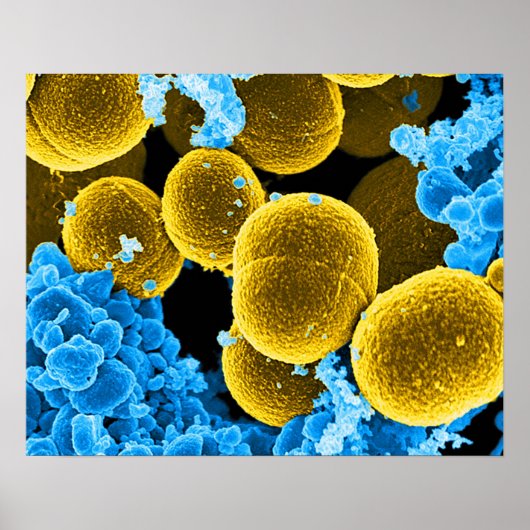 abstracte microbiologie, aangepast poster doek (Voorkant)