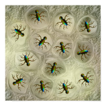 Abstracte microscopische organismen in cellulaire