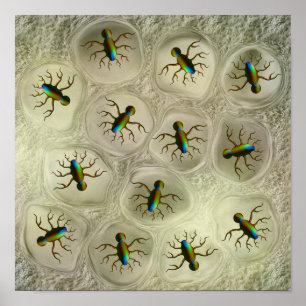 Abstracte microscopische organismen in cellulaire poster