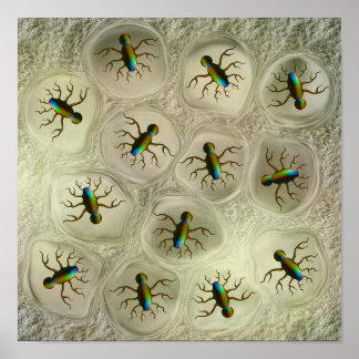 Abstracte microscopische organismen in cellulaire poster