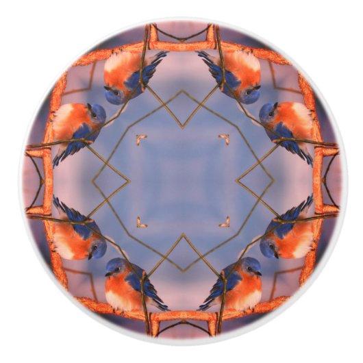 Abstracte Natuur blauwvogel Keramische Knop (Voorkant)