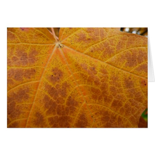 Abstracte Natuur van gele mazelen in het najaar (Voorkant Horizontaal)