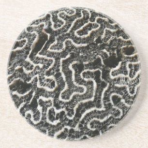 Abstracte Natuur Zwart-witkoraal II Foto Zandsteen Onderzetter