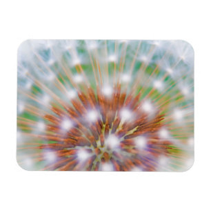 Abstracte paardenbloempluis magneet