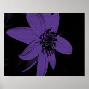Abstracte paarse zonnebloem bloem poster