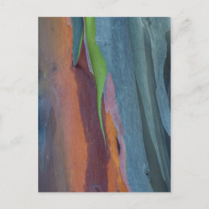 Abstracte Regenbooggomboom Briefkaart