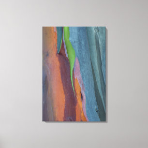 Abstracte Regenbooggomboom Canvas Afdruk