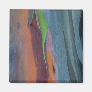 Abstracte Regenbooggomboom Magneet
