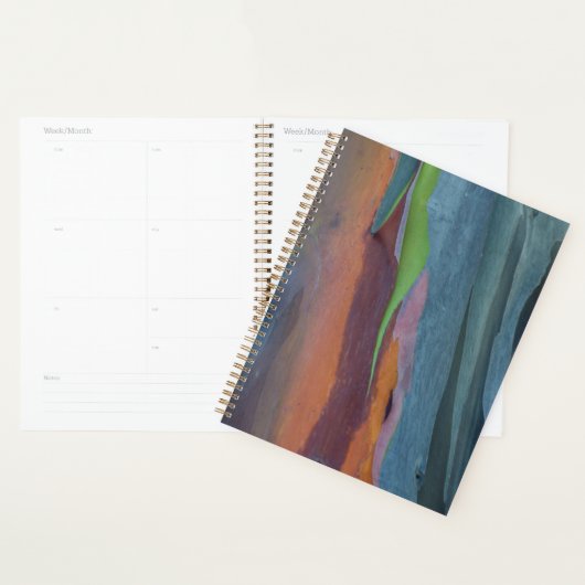 Abstracte Regenbooggomboom Planner (Display)