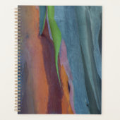 Abstracte Regenbooggomboom Planner (Voorkant)