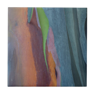 Abstracte Regenbooggomboom Tegeltje
