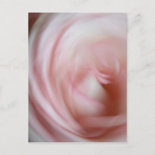 Abstracte Roze Roos Briefkaart