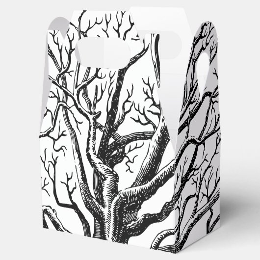 Abstracte Rustic Black & White Tree Branches Bedankdoosjes (Geopend)