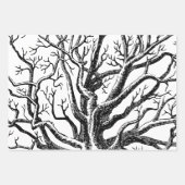 Abstracte Rustic Black & White Tree Branches Inpakpapier Vel (Voorkant 3)