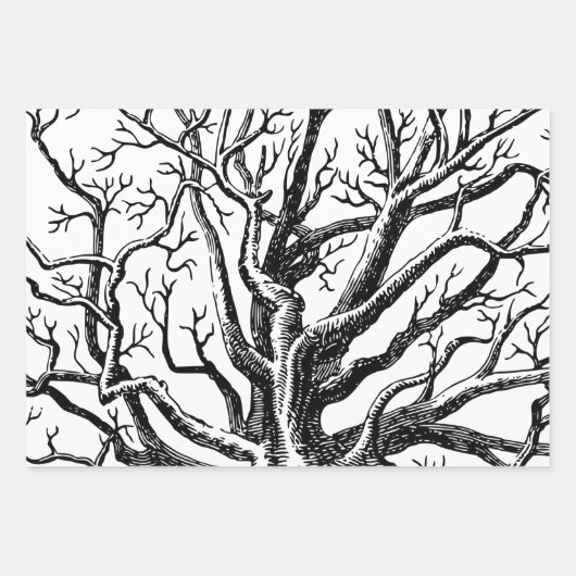 Abstracte Rustic Black & White Tree Branches Inpakpapier Vel (Voorkant 3)