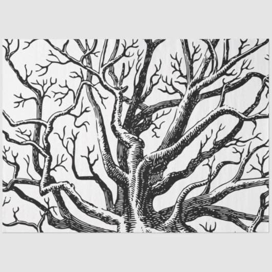 Abstracte Rustic Black & White Tree Branches Tissuepapier (Voorkant)