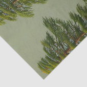 Abstracte Rustische Noordelijke Pijn Tissuepapier (Detail)