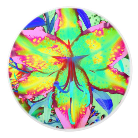 Abstracte tropische bloemenroze groene lelie keramische knop (Voorkant)