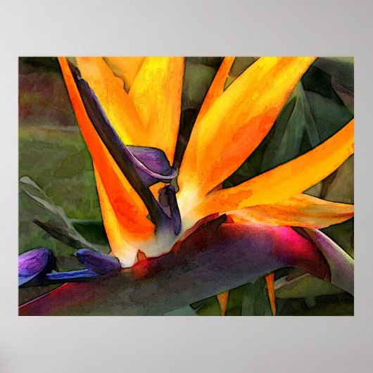 Abstracte vogel van het Paradijs Poster (Voorkant)