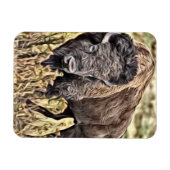 Abstracte Westerne buffel Magneet (Horizontaal)