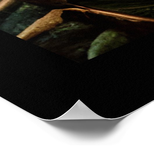 Abstracte Wilderness Little Cabin Poster (Hoek)