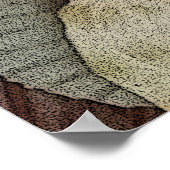 Abstracte zeeschelpen poster (Hoek)