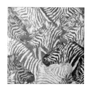 Abstracte zwart-witte Zebra Tegeltje