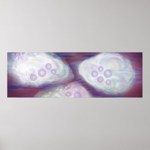 Abstractie van oesters met parels poster
