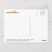 Abudefduf saxatilis (sergeant-majoor) briefkaart (Achterkant)