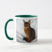 Abyssian Ruddy Vrouw Cat Mok (Links)